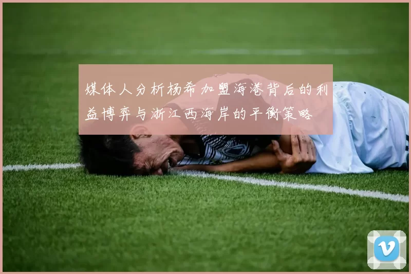 媒体人分析杨希加盟海港背后的利益博弈与浙江西海岸的平衡策略