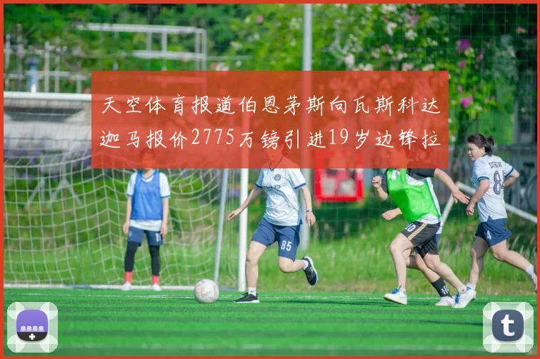 天空体育报道伯恩茅斯向瓦斯科达迦马报价2775万镑引进19岁边锋拉扬