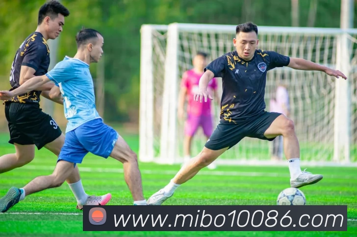 米博体育平台生态图